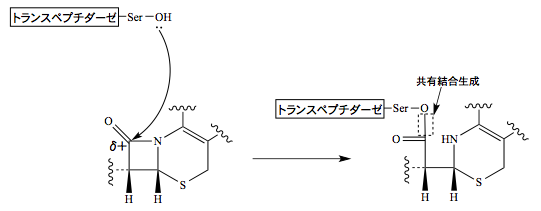 解説画像